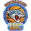 https://img.pvc-ic-card.com/img/basketball/team/9008e0eb5cdc9f3e587e5838c6201832.png